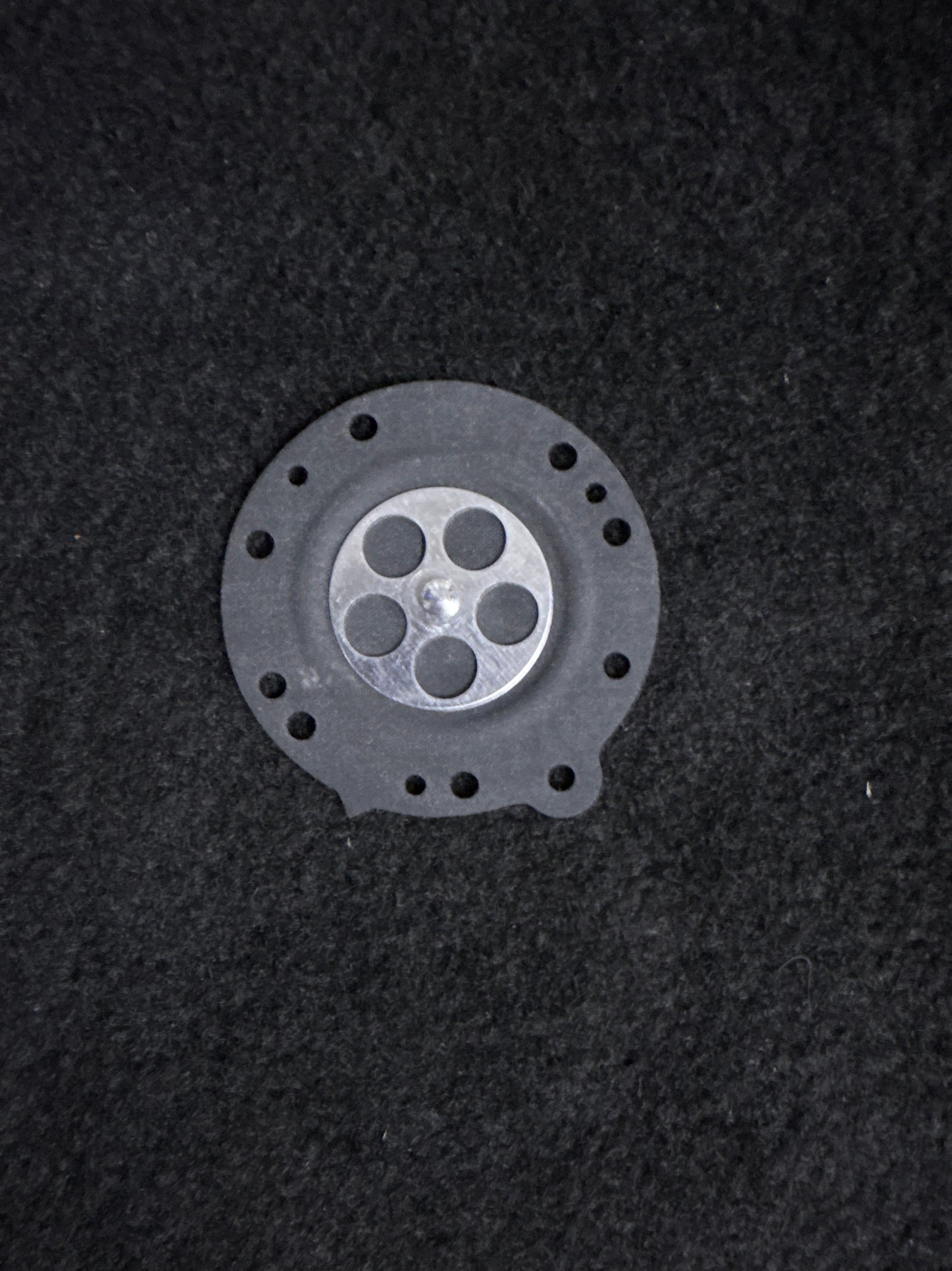 Diaphragm | HL/HW